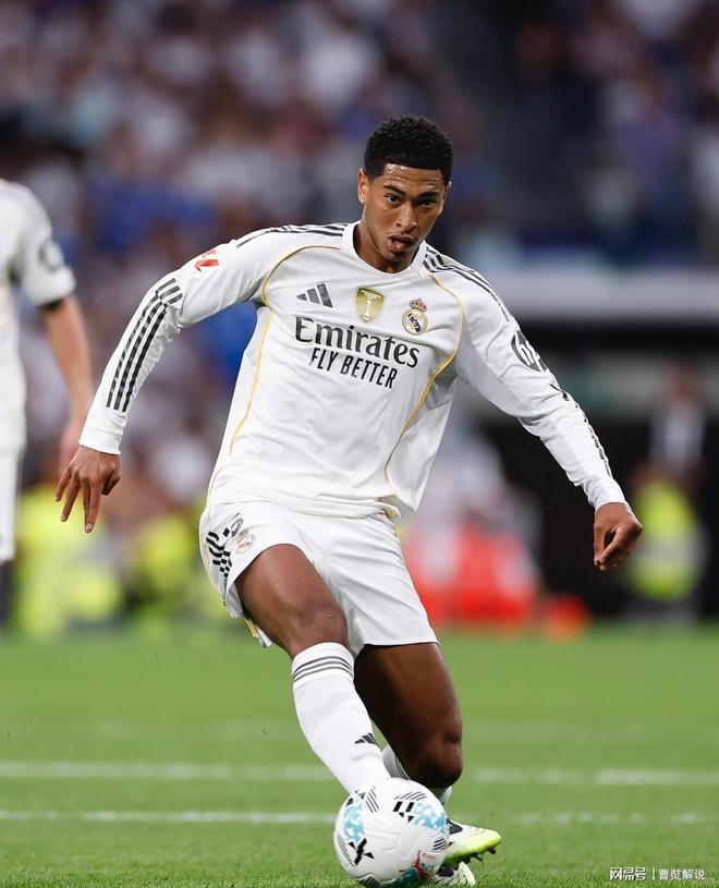 杨艺在场 杨艺在场